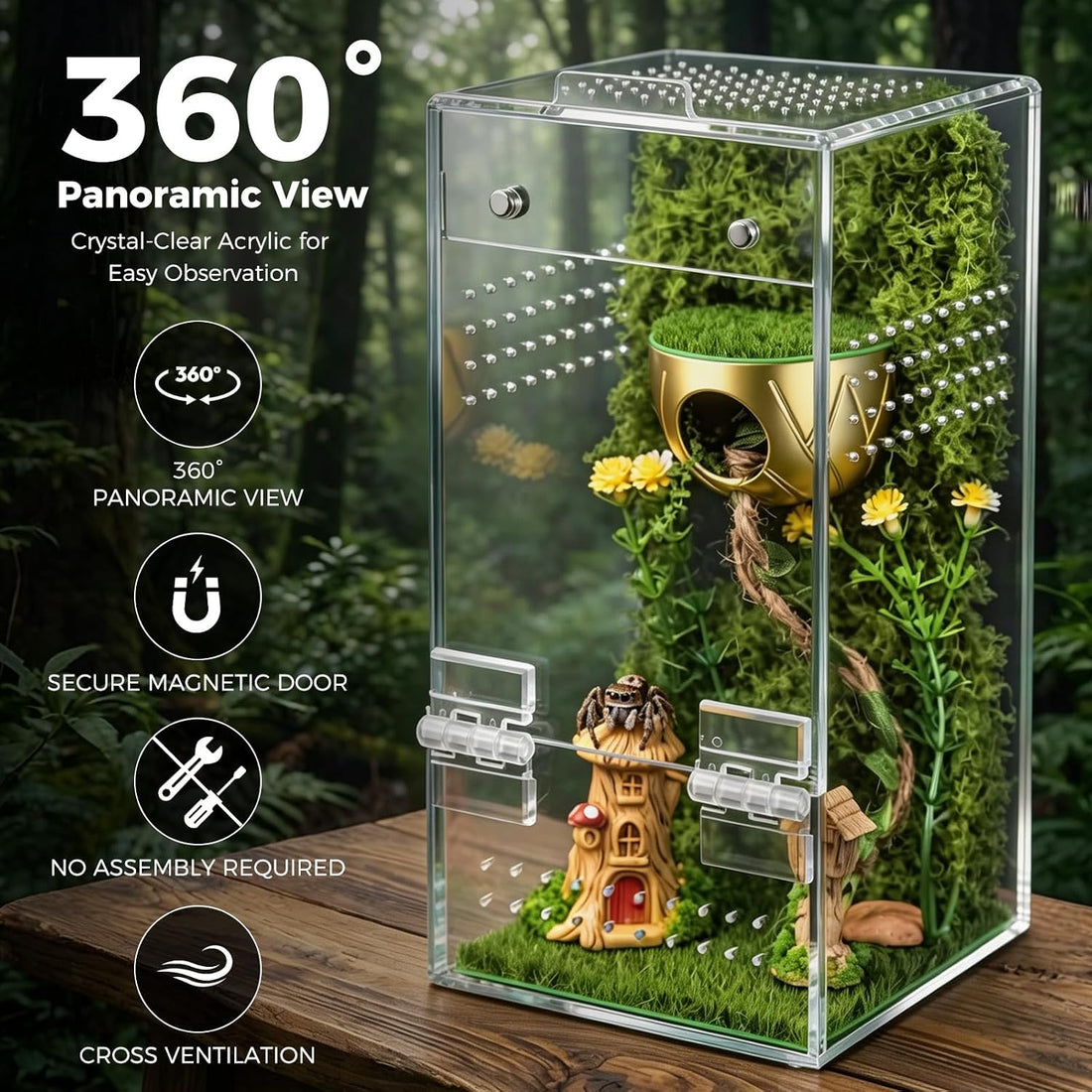 Jumping Spider Enclosure Kit