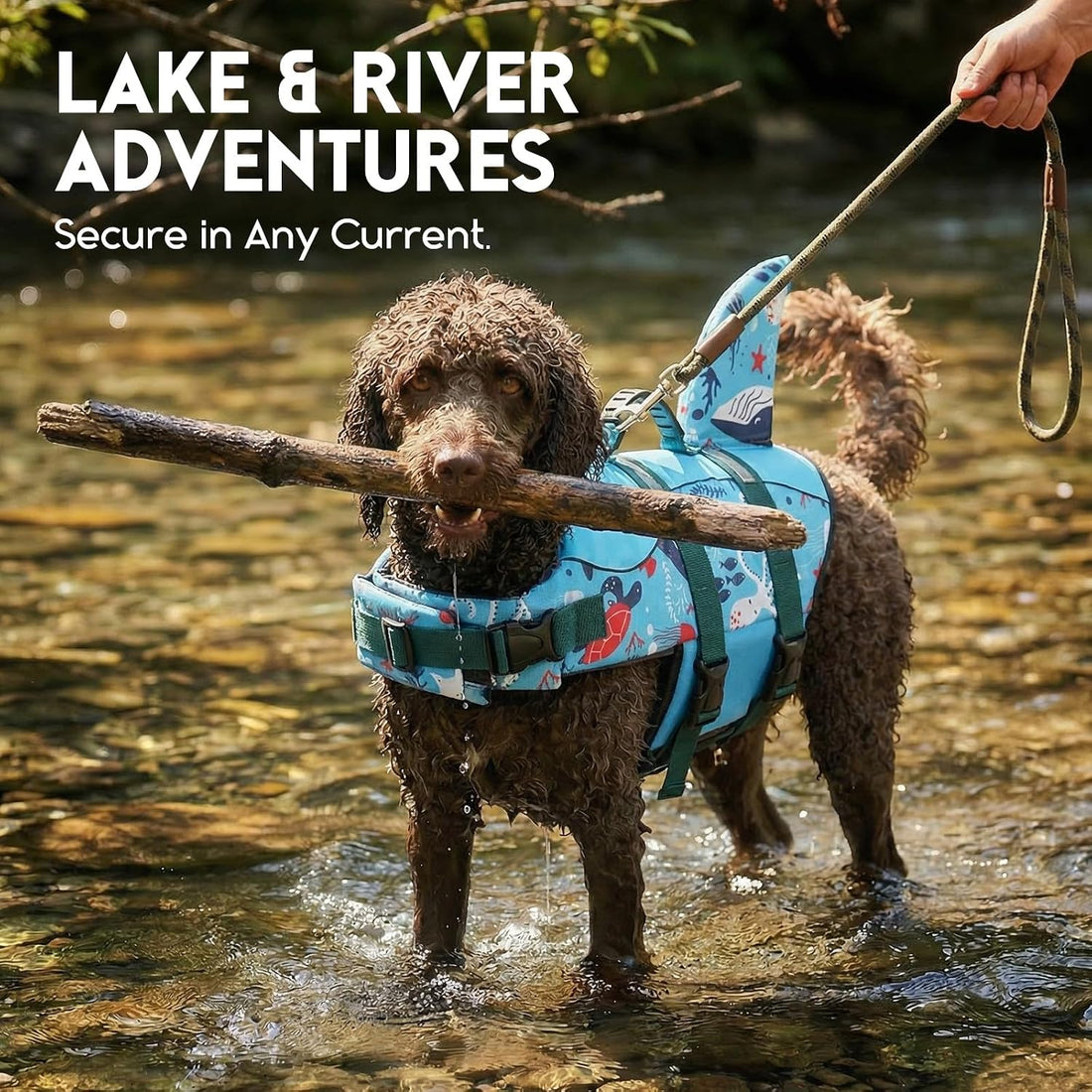 ASENKU Dog Life Jacket - Pet Safety Vest for Swimming & Boating