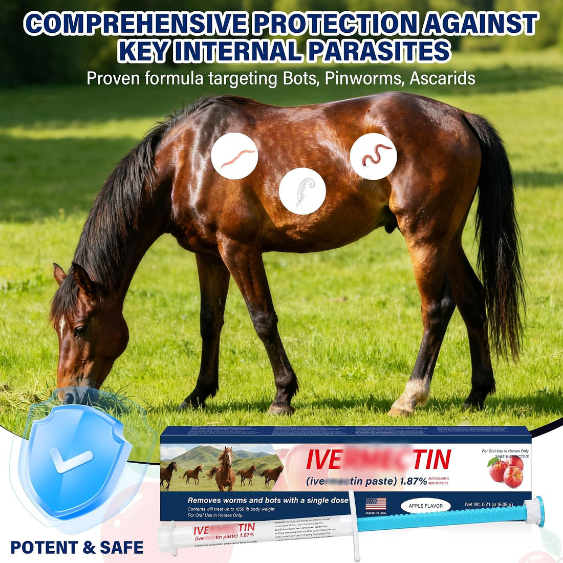 Equine Paste 1.87% – 6 Pack (6.08g) Apple Flavored Oral for Horses