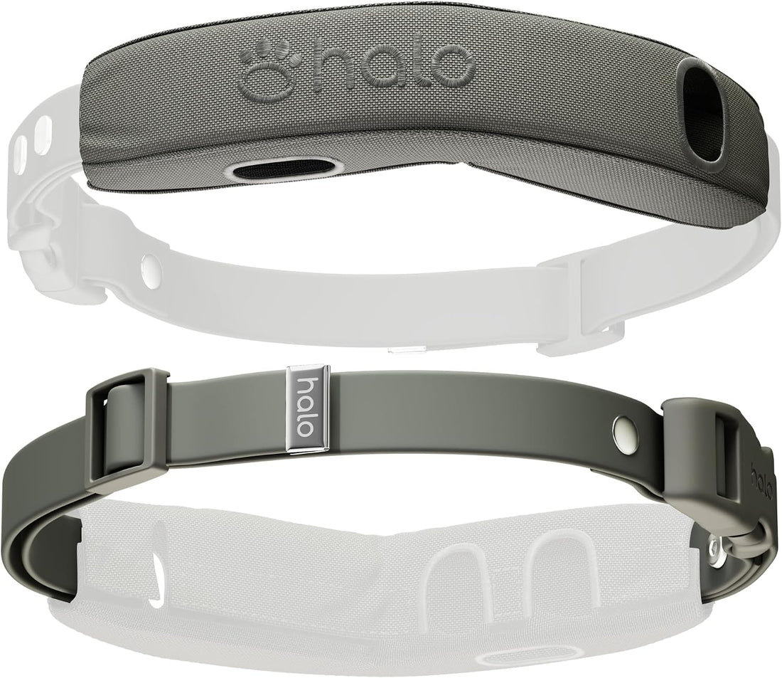 Halo Collar 5 Pro Case + Strap Kit