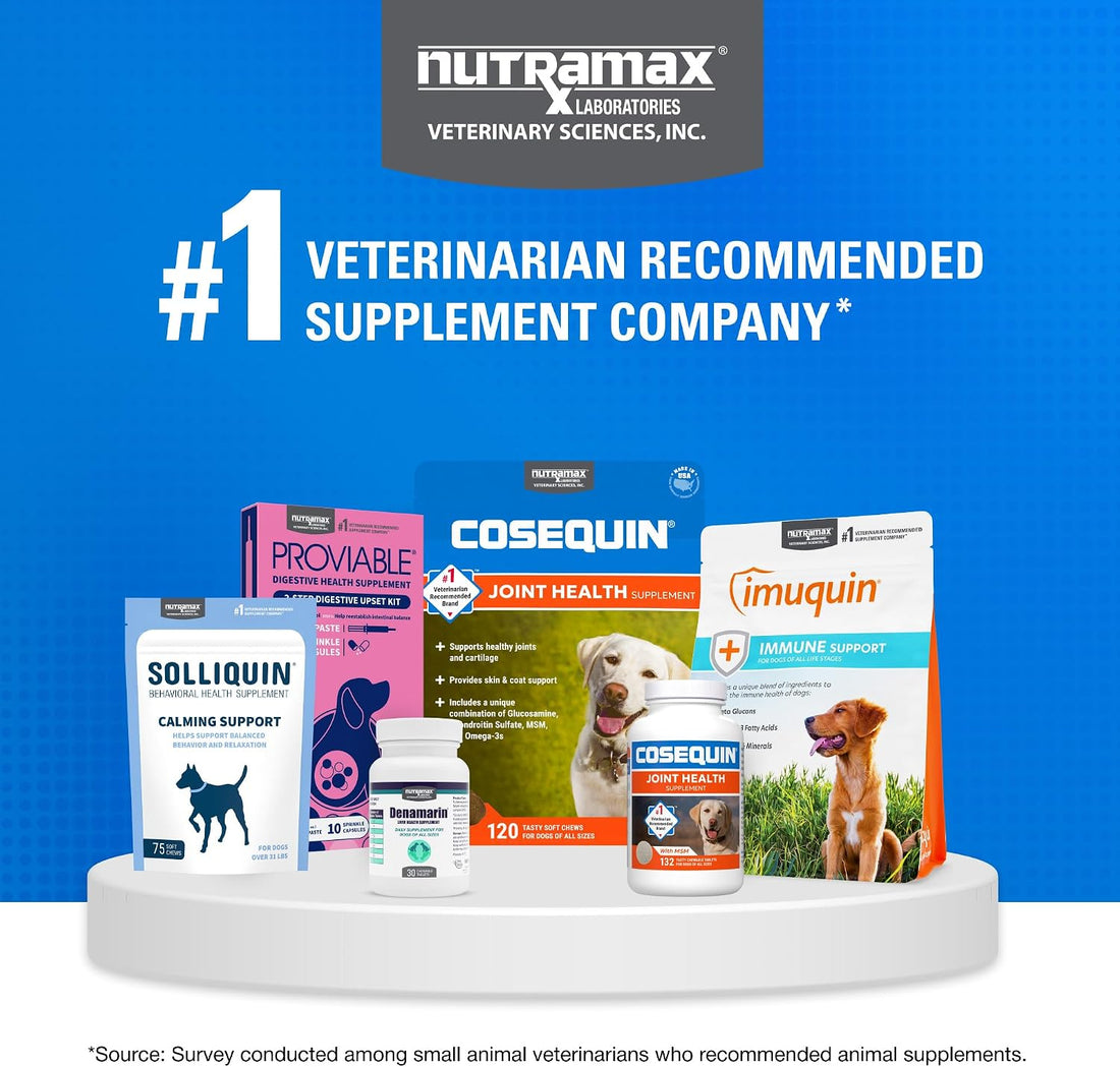 Nutramax Cosequin for Dogs Joint Health Supplement