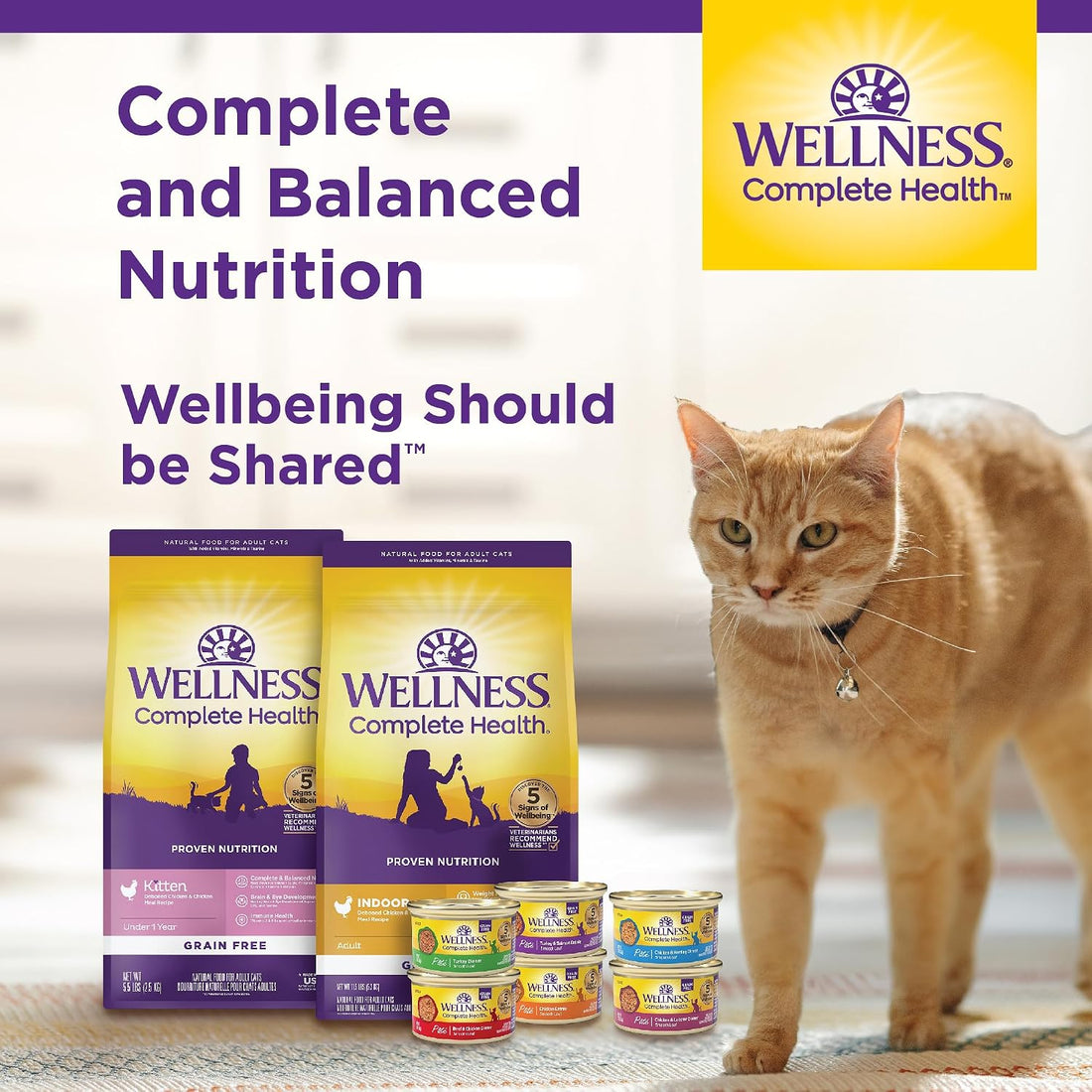 Wellness Complete Health Healthy Weight Adult Dry Cat Food for Indoor