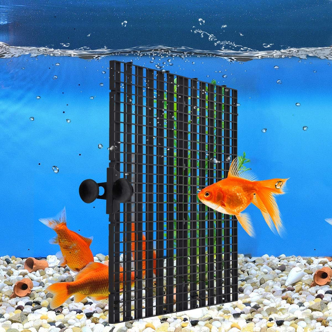 WEAVERBIRD 2 Pcs Aquarium Divider Tray Plastic Grid Divider Tray Egg