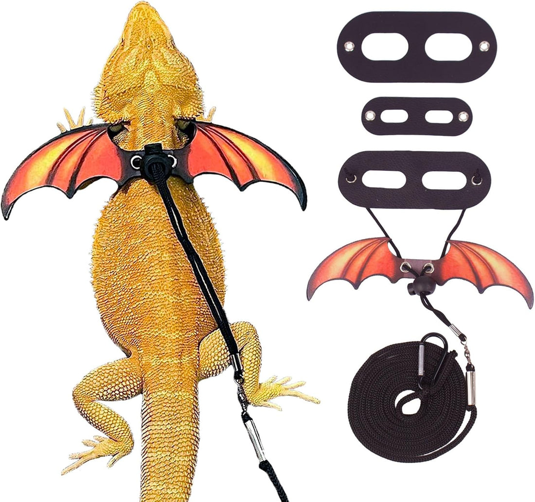 ADOGGYGO Bearded Dragon Lizard Leash Harness, 3 Size Pack, Orange