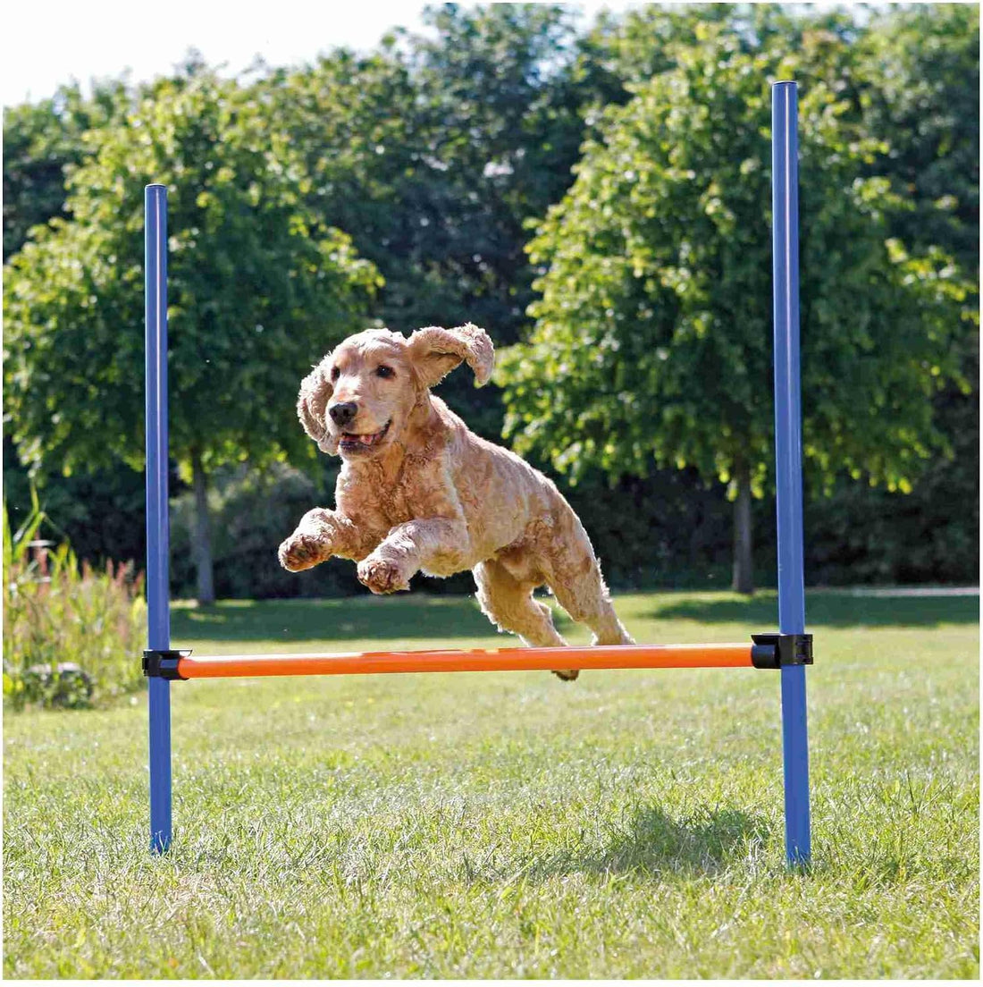 TRIXIE Dog Agility Hurdle with Height Adjustable Crossbar