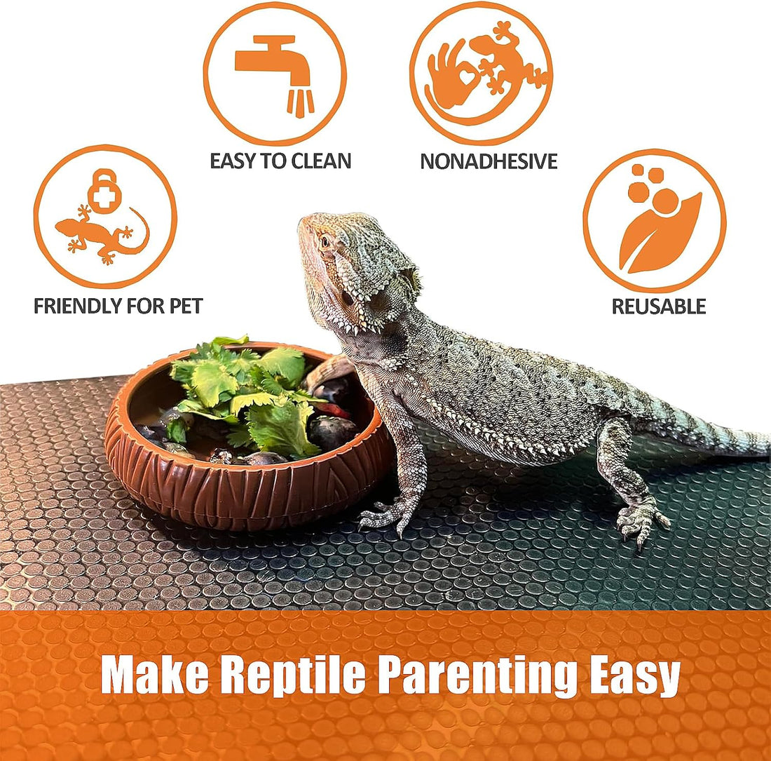Bearded Dragon Tank Accessories, Reptile Terrarium Liner