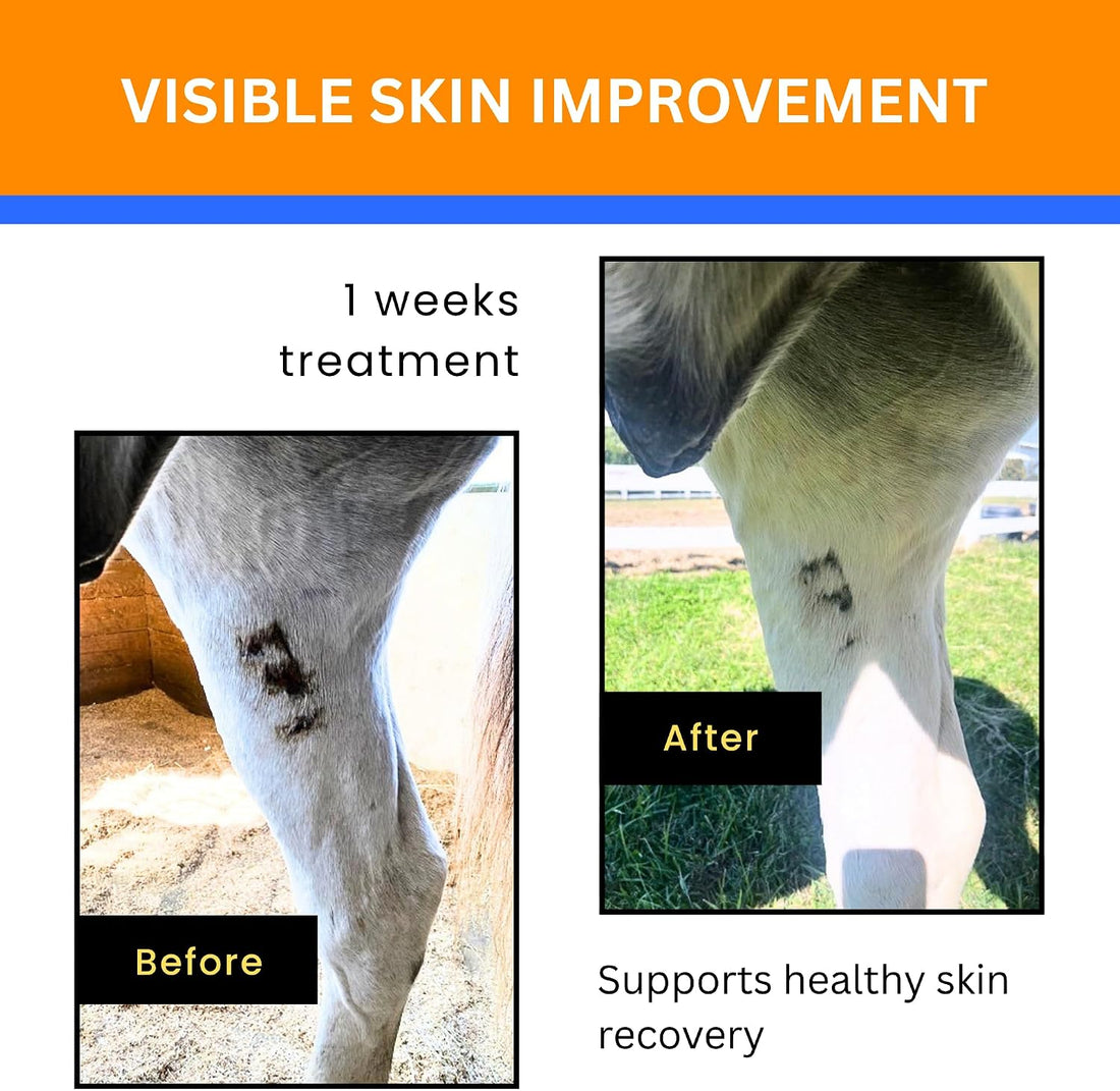 Jazzy’s Cream for Horses | for Rain Rot, Scratches