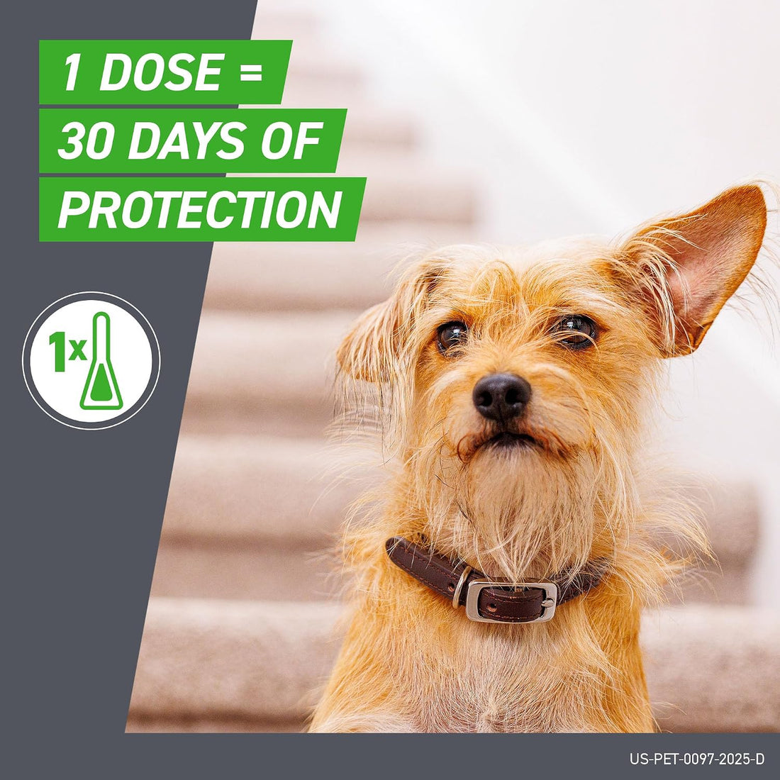 FRONTLINE Plus Flea & Tick Spot Treatment for X-Large Breed Dogs