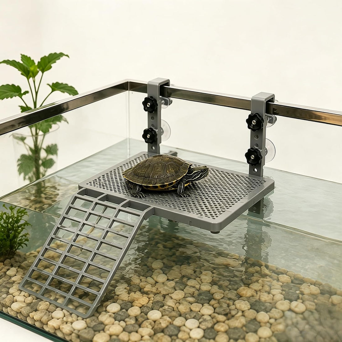 Turtle basking Platform Suitable for 20–75-Gallon Aquariums