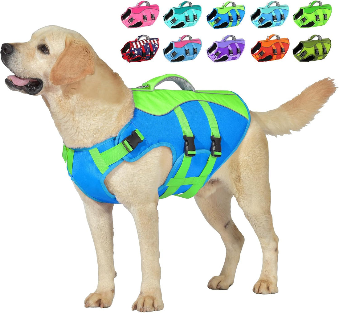 Petglad Dog Life Jacket with Handle Adjustable Swim Vest, Blue & Green