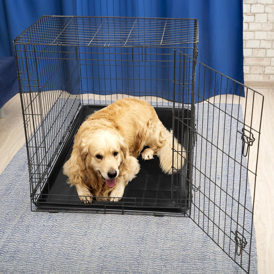 Acshio 2 Pack Dog Crate Tray