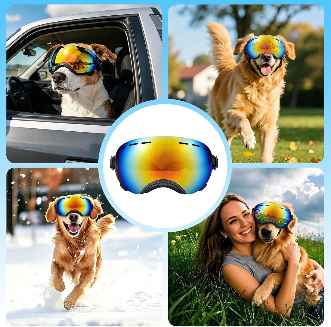 Dog Goggles UV Protection for Medium Large Breeds Rainbow PC Lens