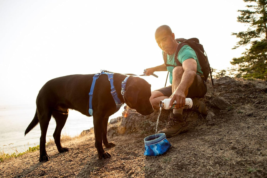 Ruffwear, Quencher Collapsible Dog Bowl