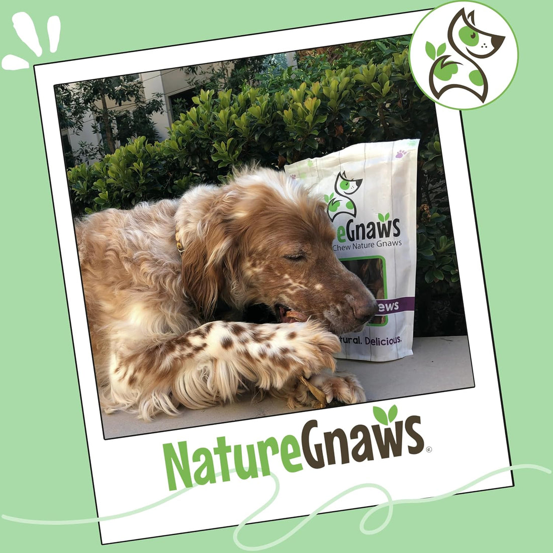 Nature Gnaws Variety Pack for Large Dogs - Bully Sticks