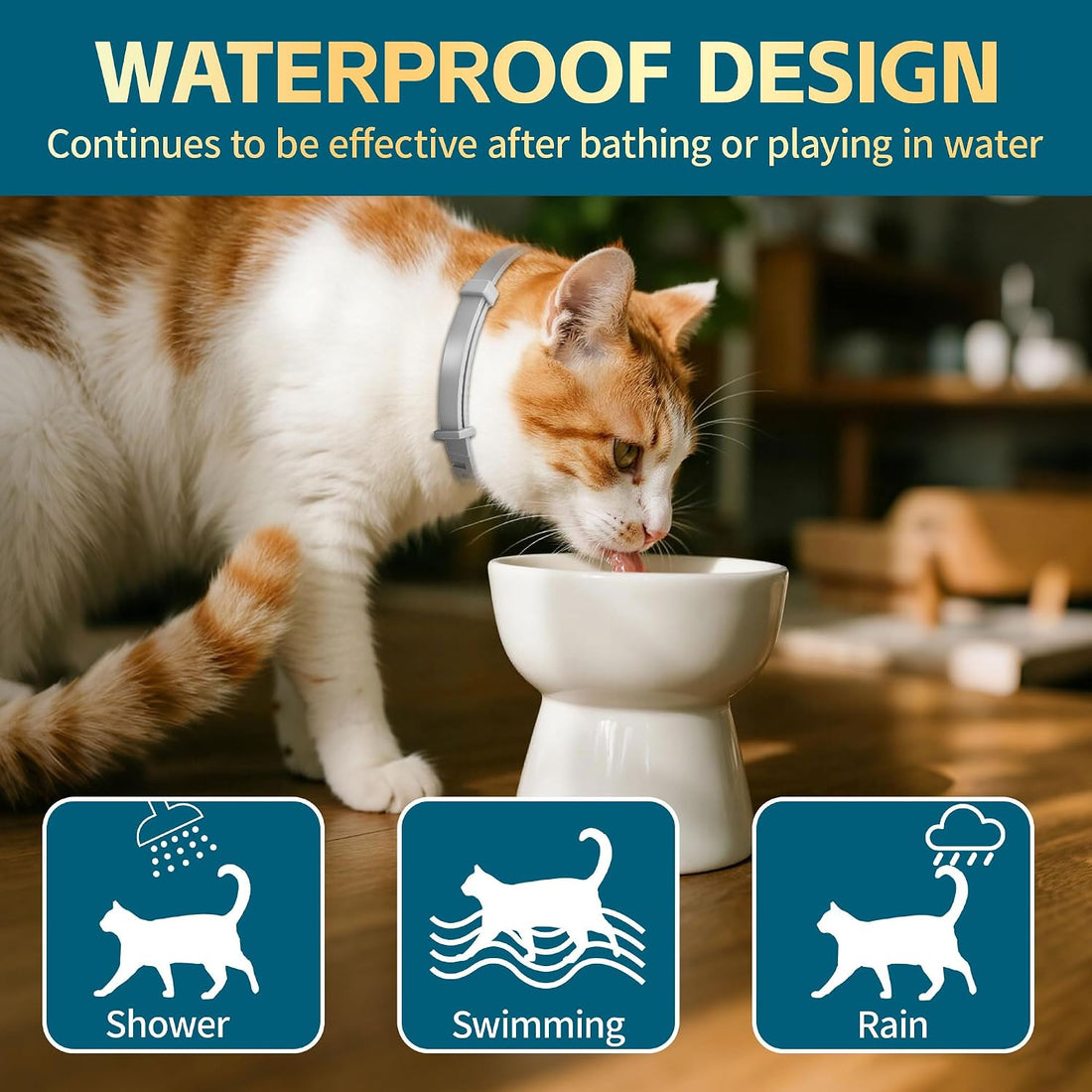 Flea and Tick Collar for Cat – 8-Month Protection
