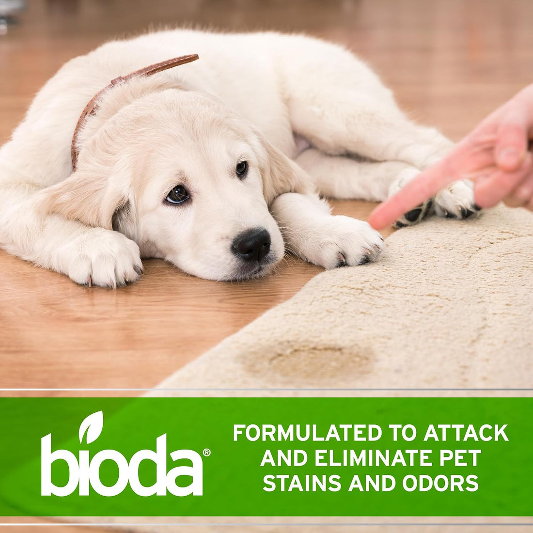 Bioda Commercial Strength Enzymatic Stain & Odor Eliminator for Pets