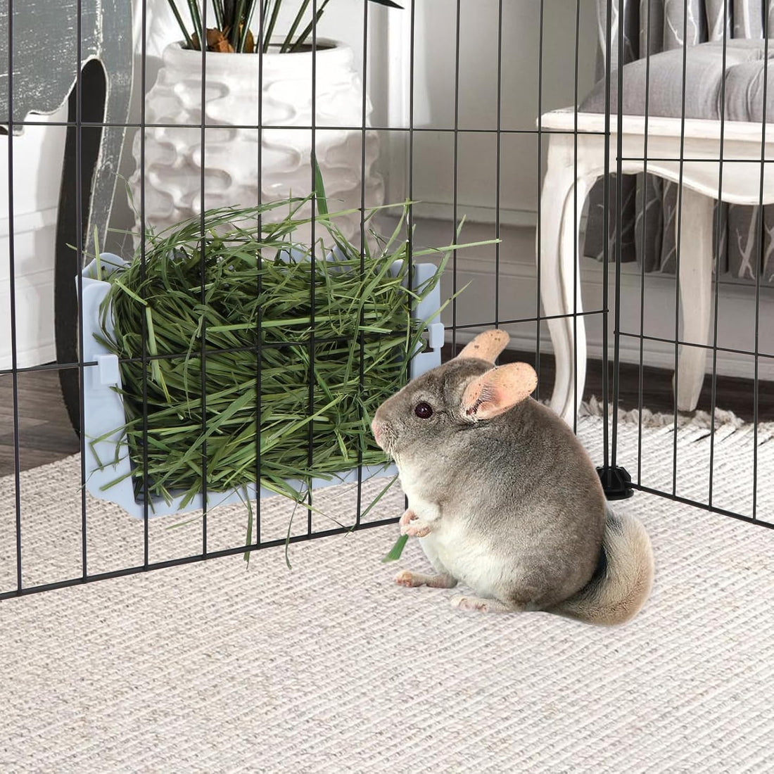Hypeety Rabbit Hay Feeder Automatic Hay Rack for Guinea Pigs