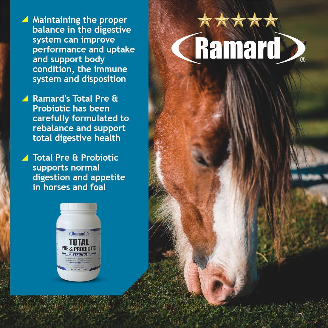 Ramard Total Prebiotic & Probiotic Equine Formula