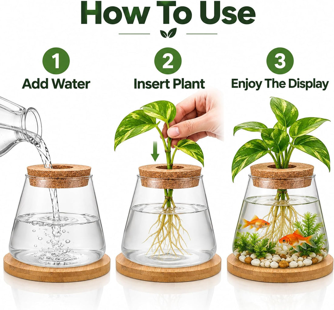Glass Betta Fish Bowl, Desktop Plant Hydroponic Terrarium Kit 4''