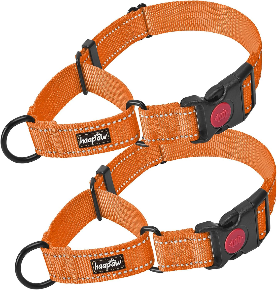 Haapaw Escape-Proof Martingale Dog Collar