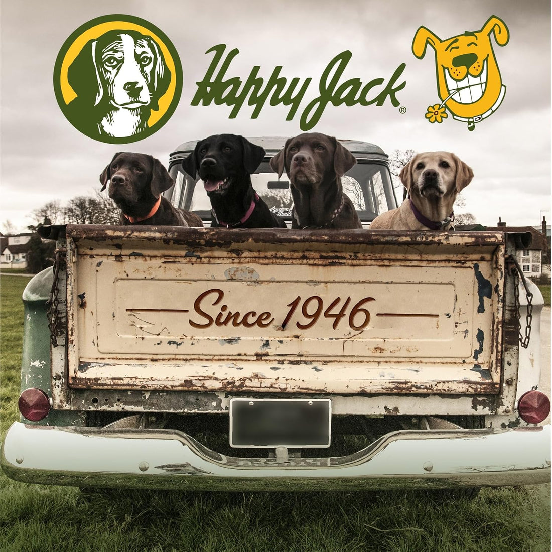 Happy Jack Liqui-Vict 2X Liquid Dog Dewormer for Large