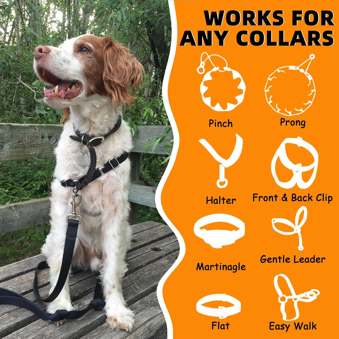 YUEPET 2 Pack Dog Collar Safety Clips