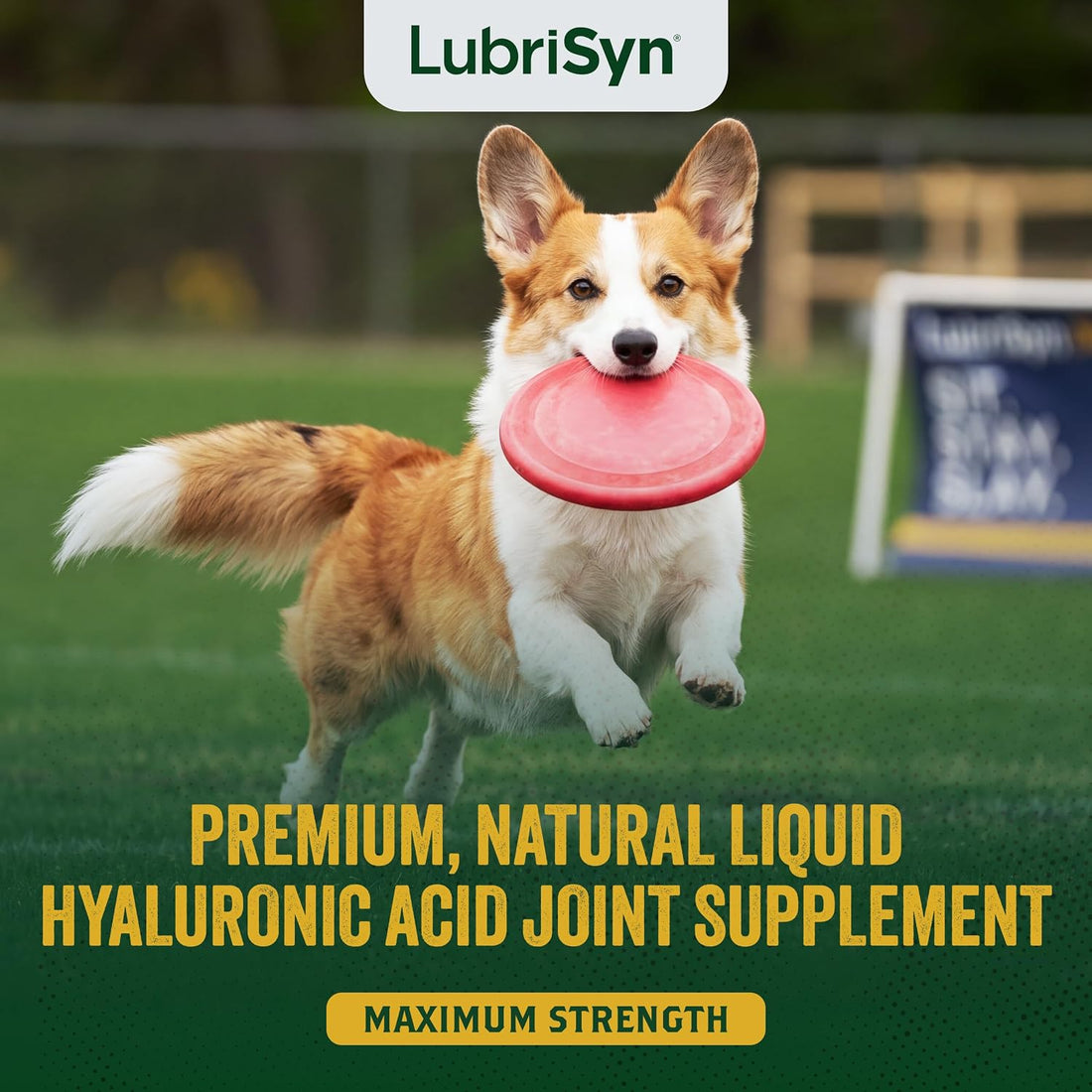 LubriSyn HA Hip & Joint Supplement Plus MSM for Pets, 8 oz