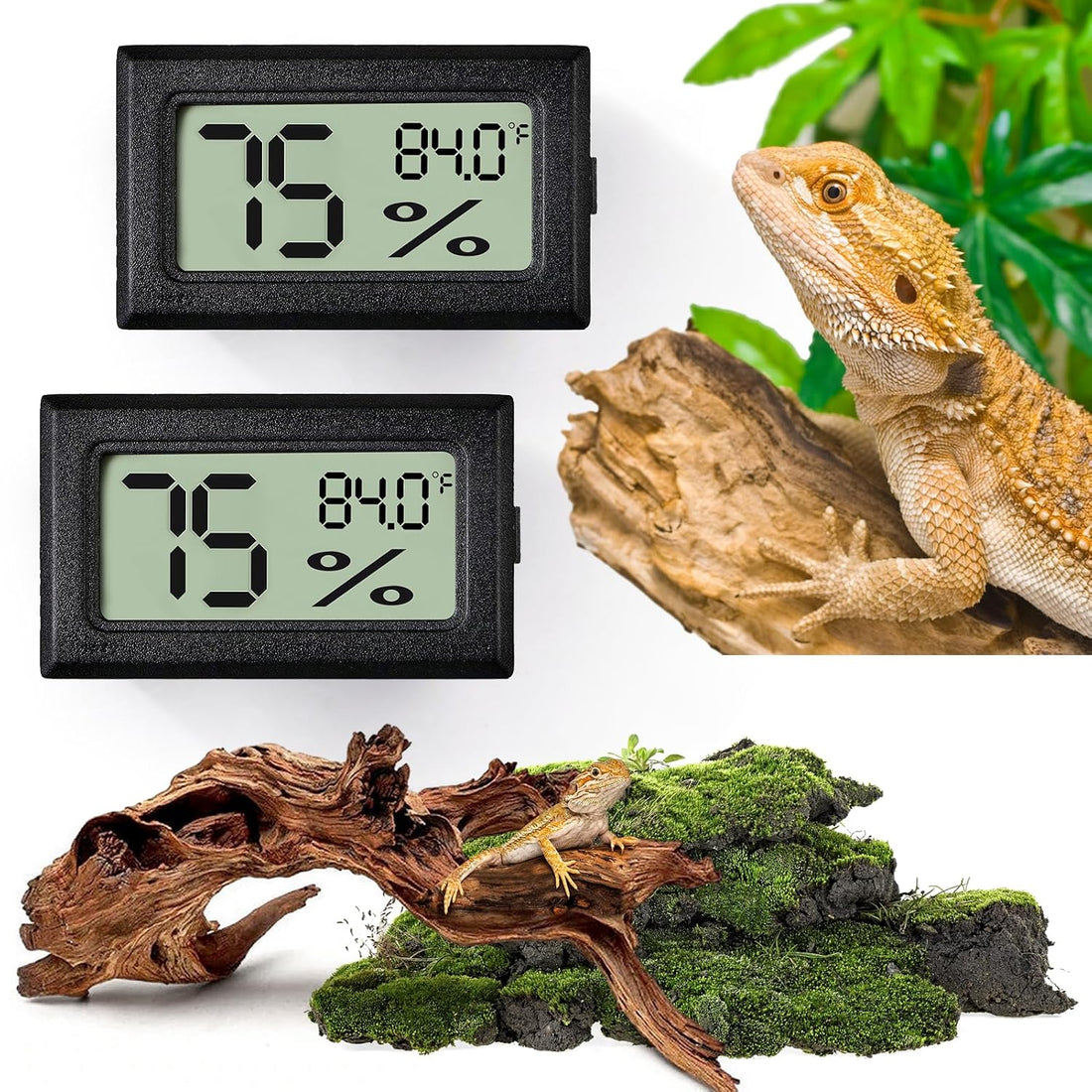 Reptile Thermometer and Humidity Gauge,2PCS Digital Hygrometer