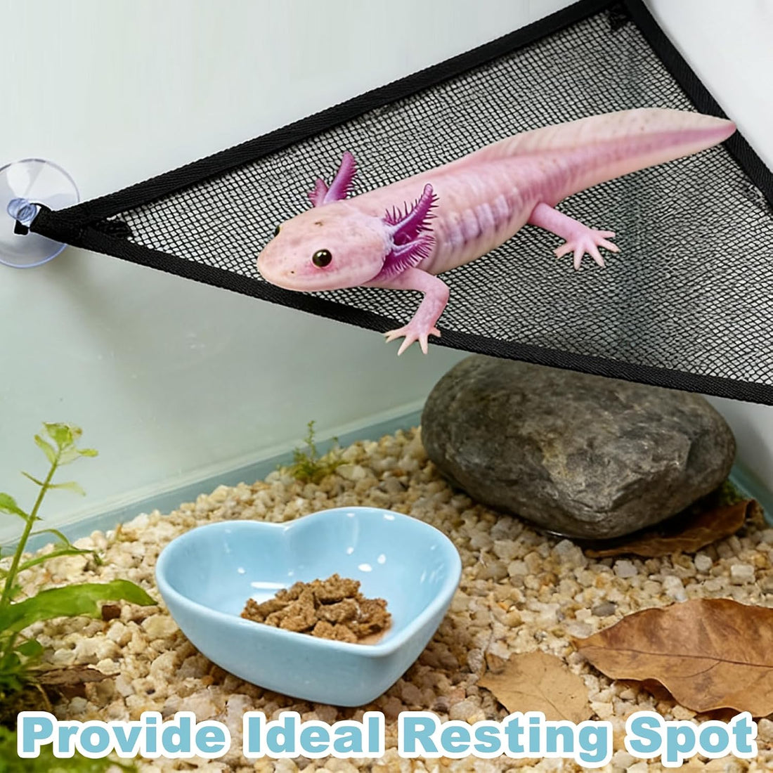 Axolotl Hammock for Aquarium with Feeding Bowl