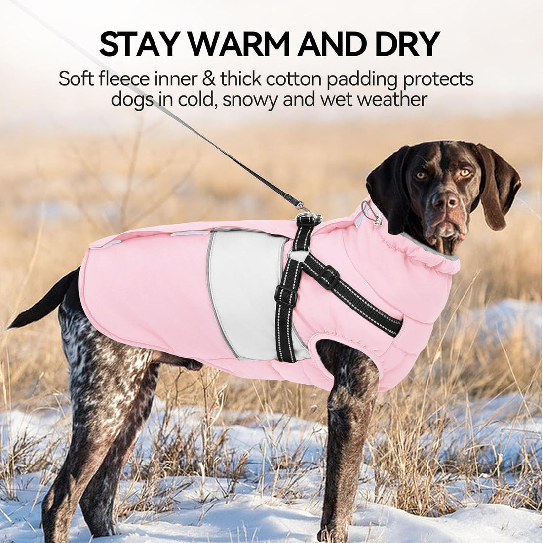 Dog Winter Coat Waterproof Dog Jacket with Harness for Medium Dogs