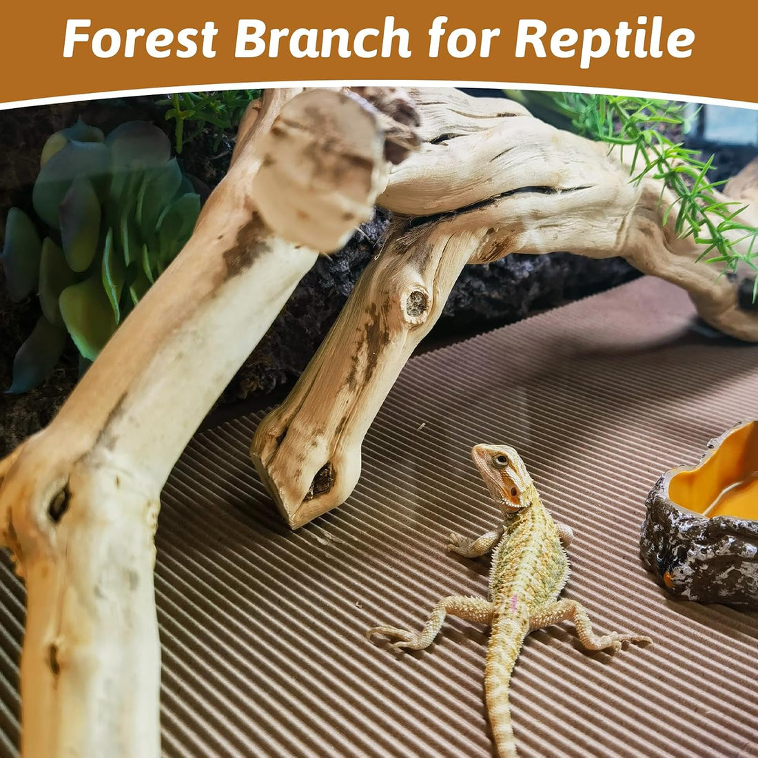 Snake Climbing Branch Wood Enclosure Decor Terrarium Logs