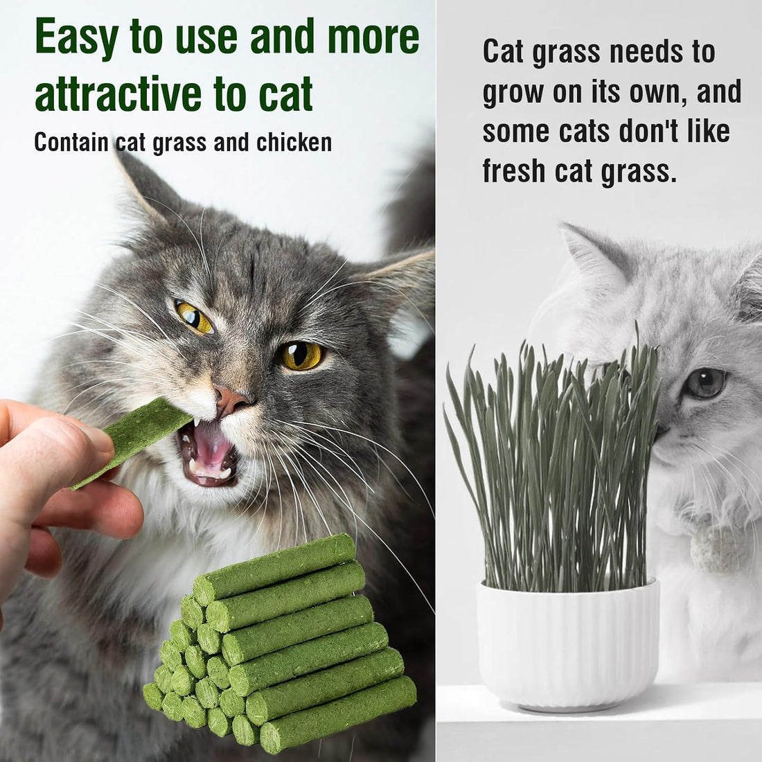 120g/4.23oz Cat Grass Teething Stick Hairballs,Chew Sticks