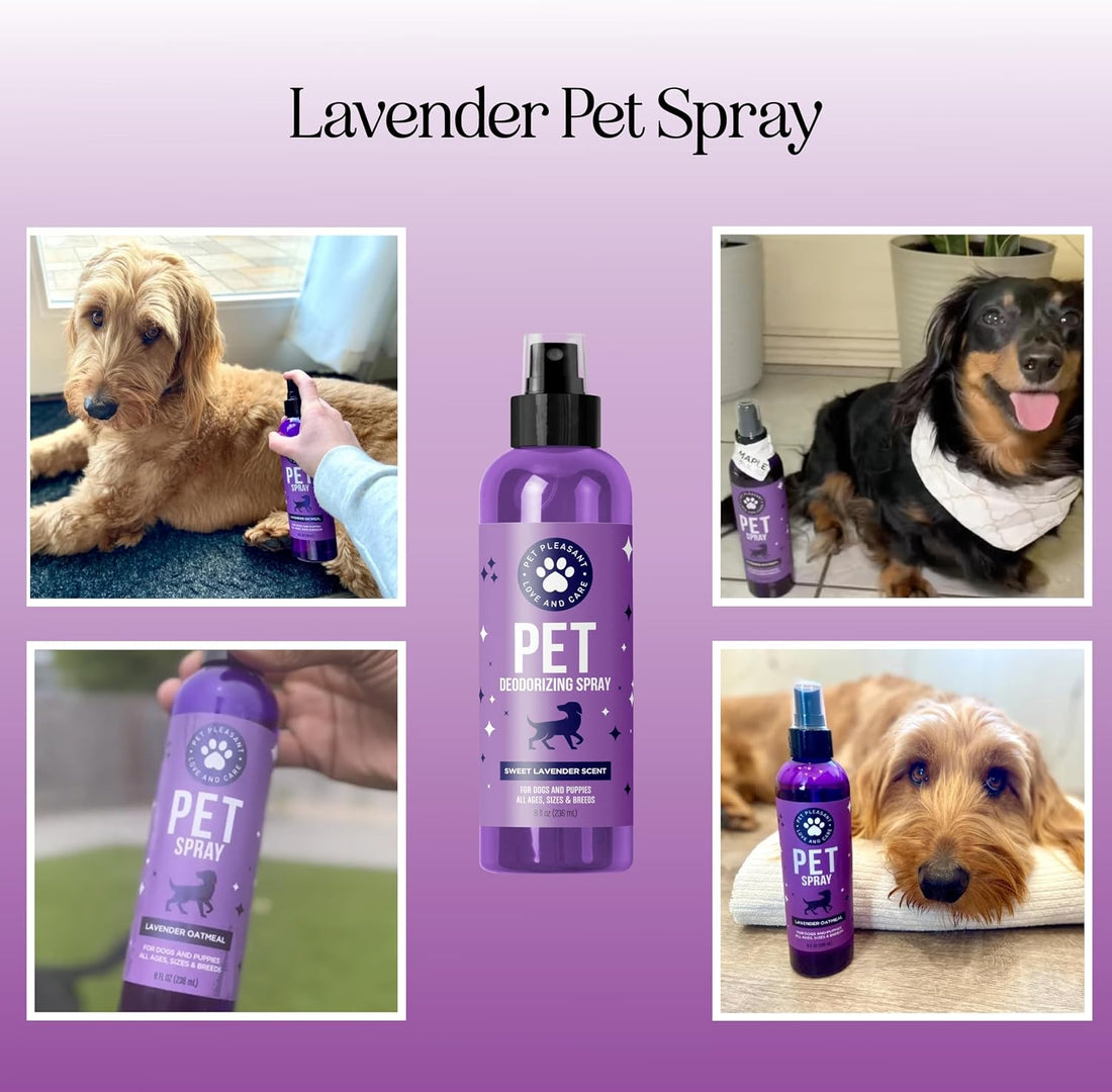 Lavender Oil Dog Deodorizing Spray