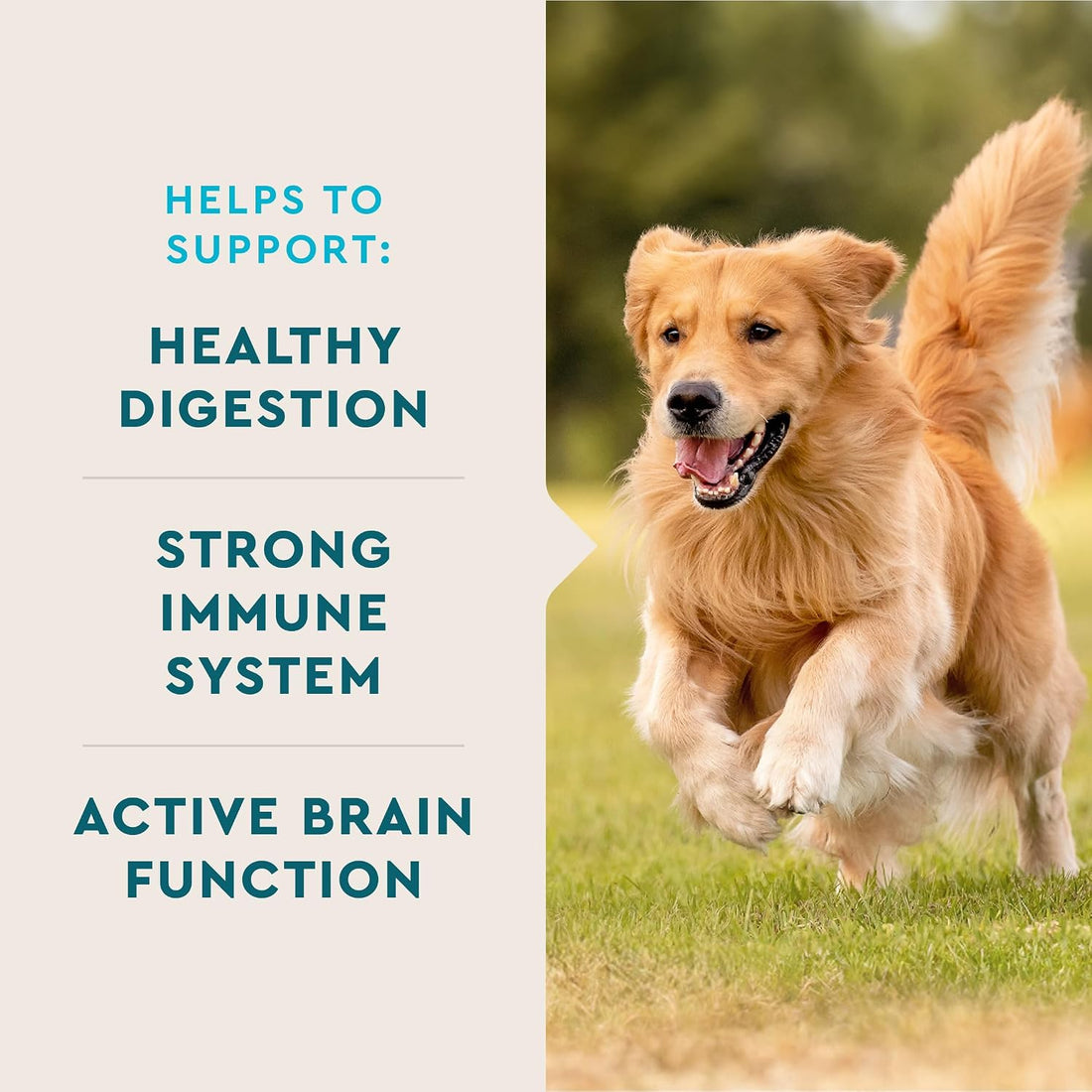 VetIQ 8-in-1 Multifunctional Dog Supplement Chews, 90ct