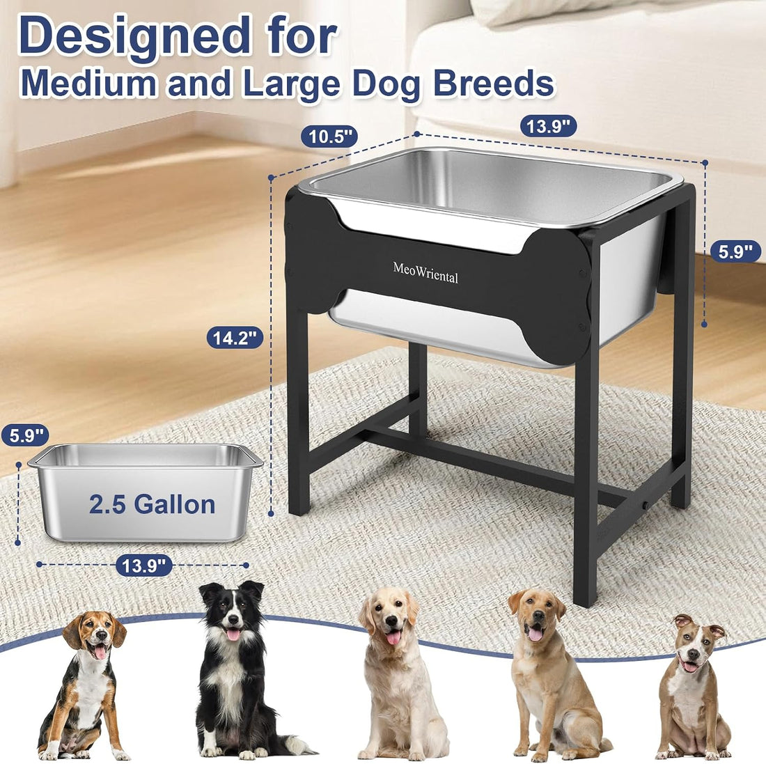 2.5 Gallon Elevated Dog Water Bowl for Large Breeds