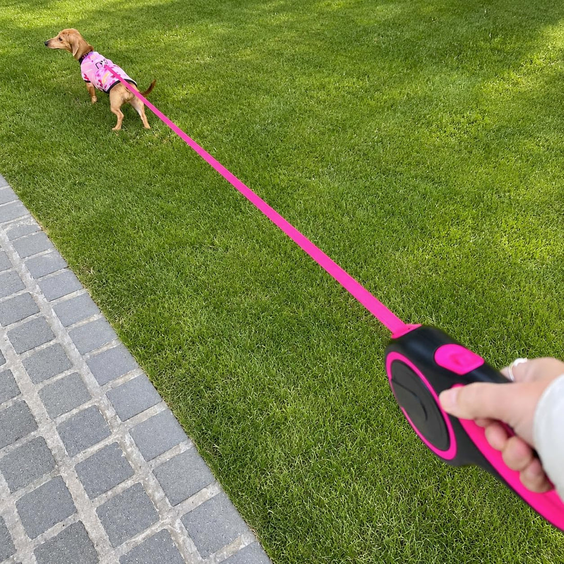 Retractable Dog Leash, 44 LBS /16FT Long, Small & Medium Dogs