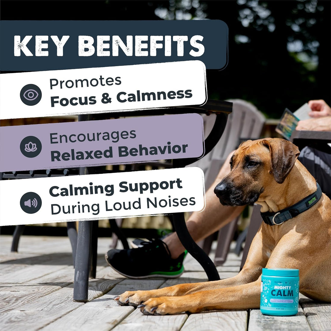 Mighty Paw Calming Chews for Dogs with Melatonin, Waggables, 120 Count