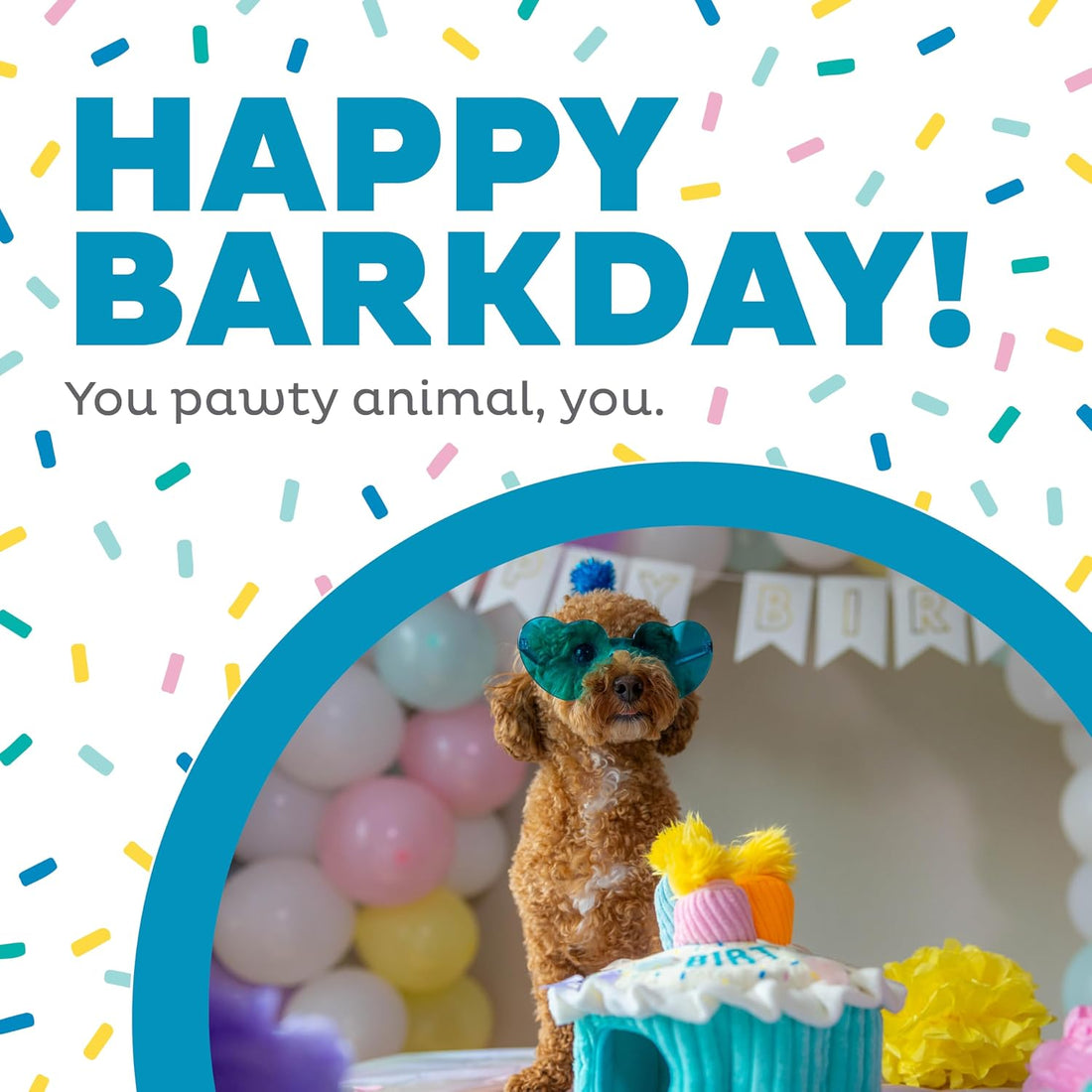Outward Hound Hide-A-Birthday-Cake Dog Toy