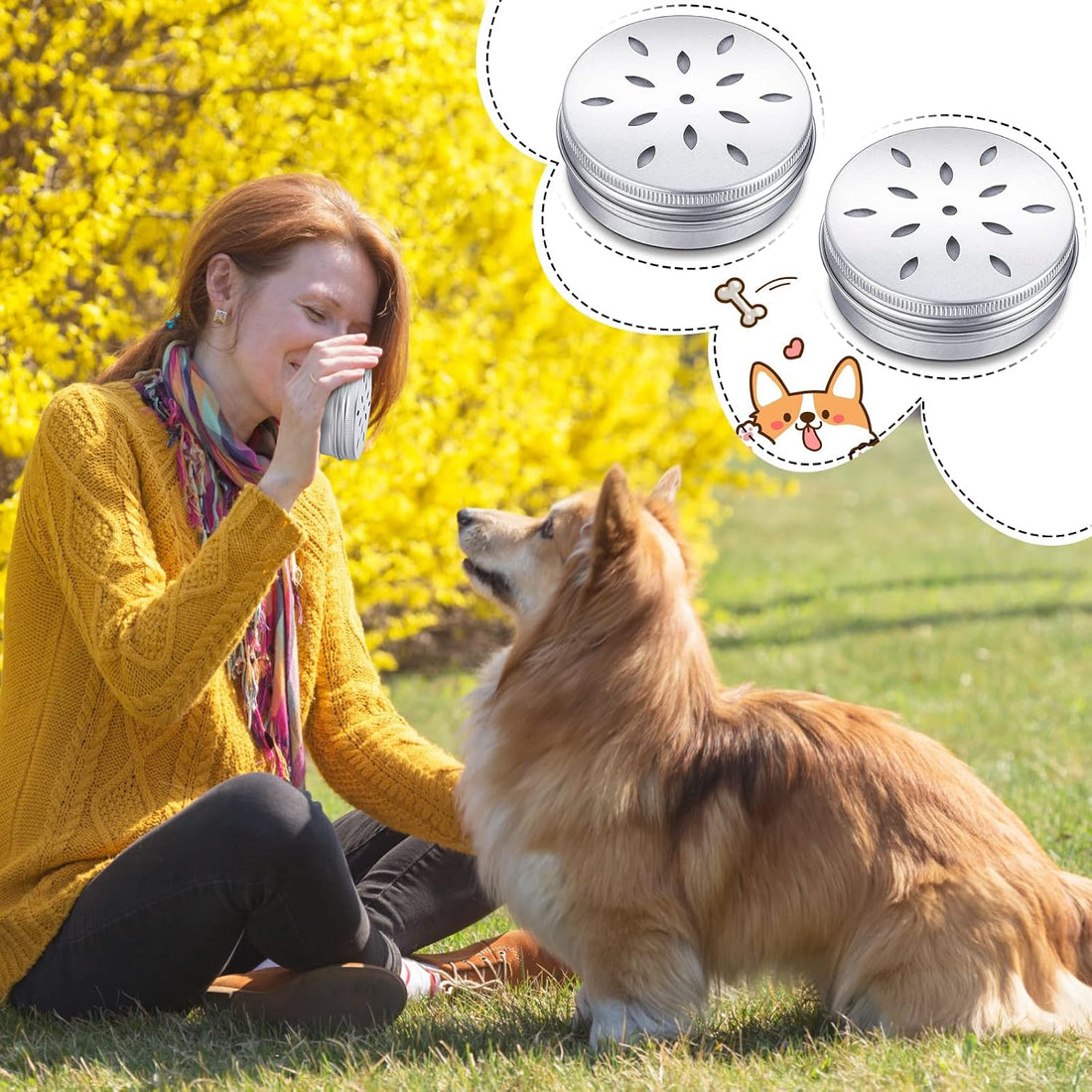 Oudain Dog Scent Work Tins, Twelve-Pack