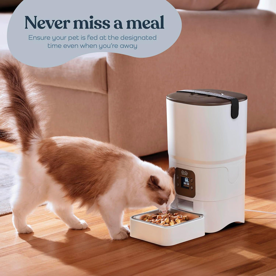 Smart Automatic Cat Feeder - 6-L Reliable Automatic Cat Food