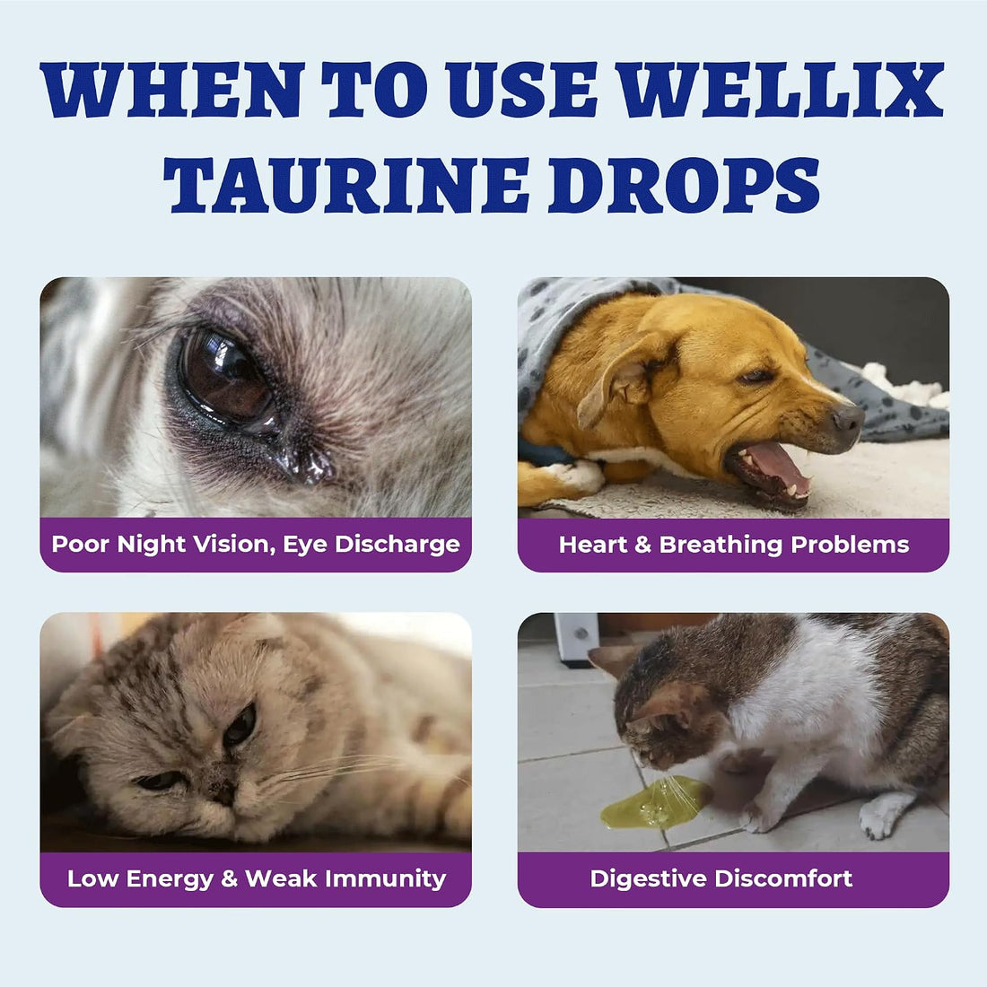 Wellix 4 oz Liquid Taurine Drops for Cats & Dogs