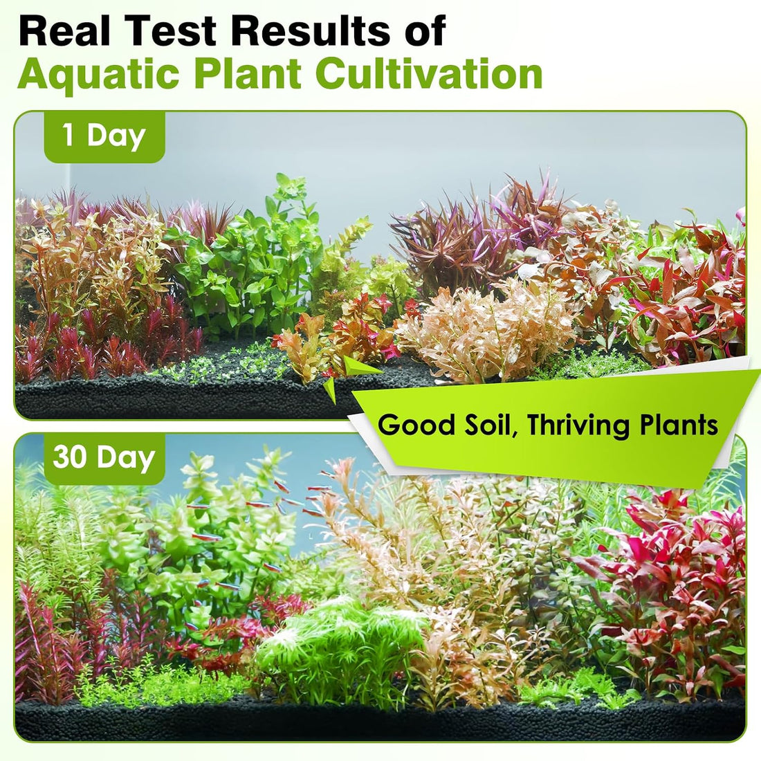 Premium Upgraded Aquarium Soil