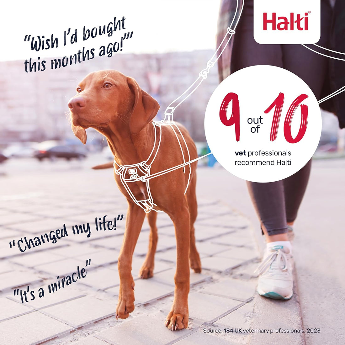 Halti No Pull Dog Harness | Size L, Black