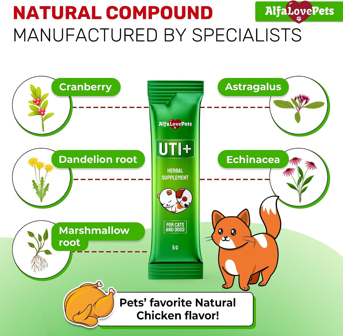 Cat UTI Treatment for Frequent Urination, Bladder & Kidney Irritation