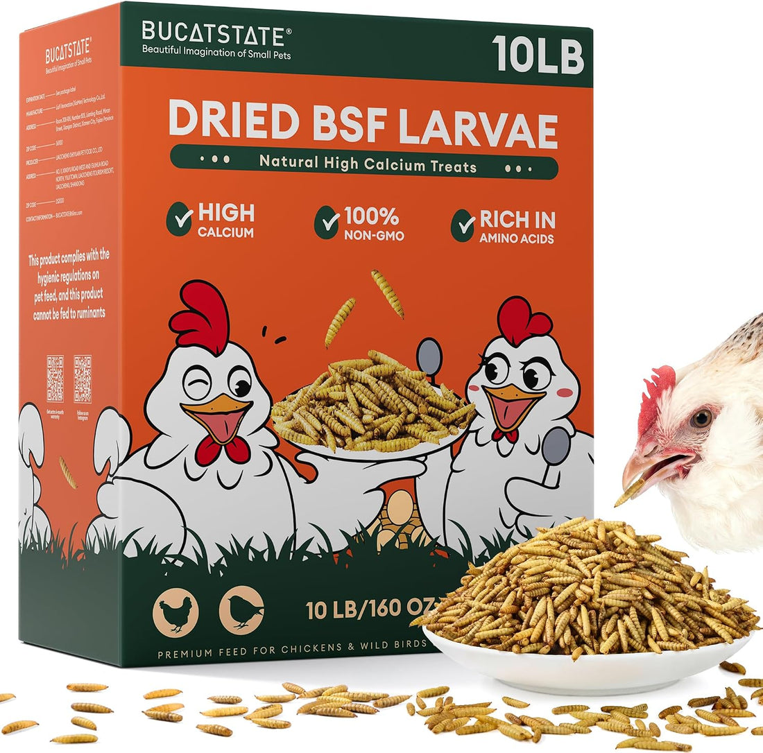 BUCATSTATE Dried Black Soldier Fly Larvae for Chickens and Ducks