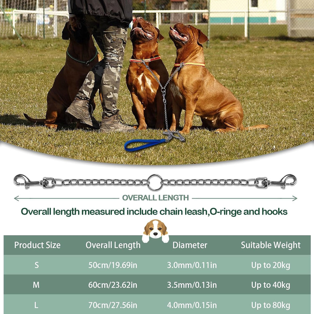 LOS ANDES Metal Double Dog Leash Chew Proof Chain Leash 2 Way No