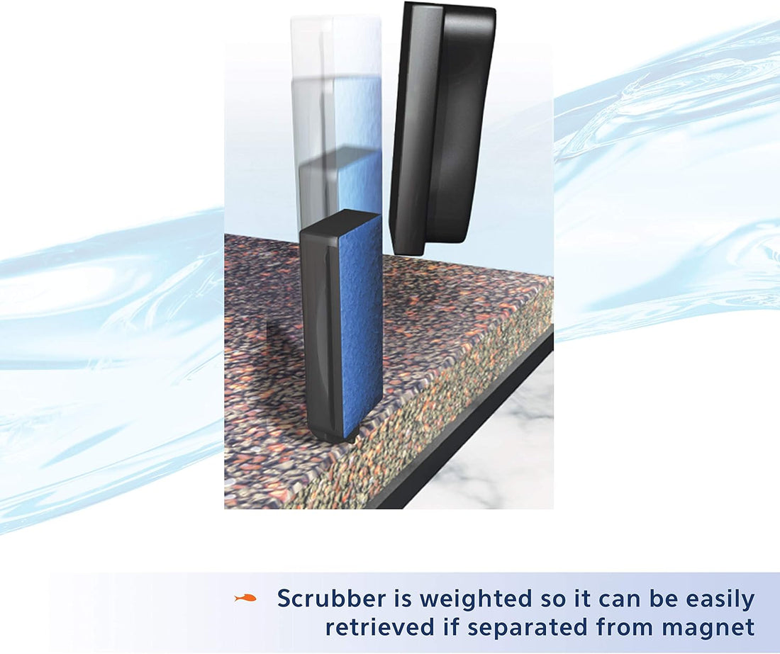 Aqueon Aquarium Algae Scraper
