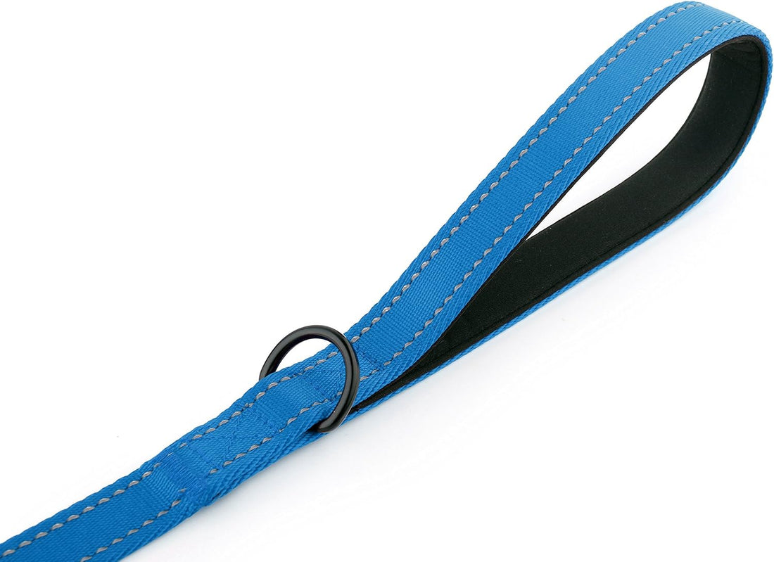 Primal Pet Gear Dog Leash 8ft Long - Blue - Traffic Padded Two Handle
