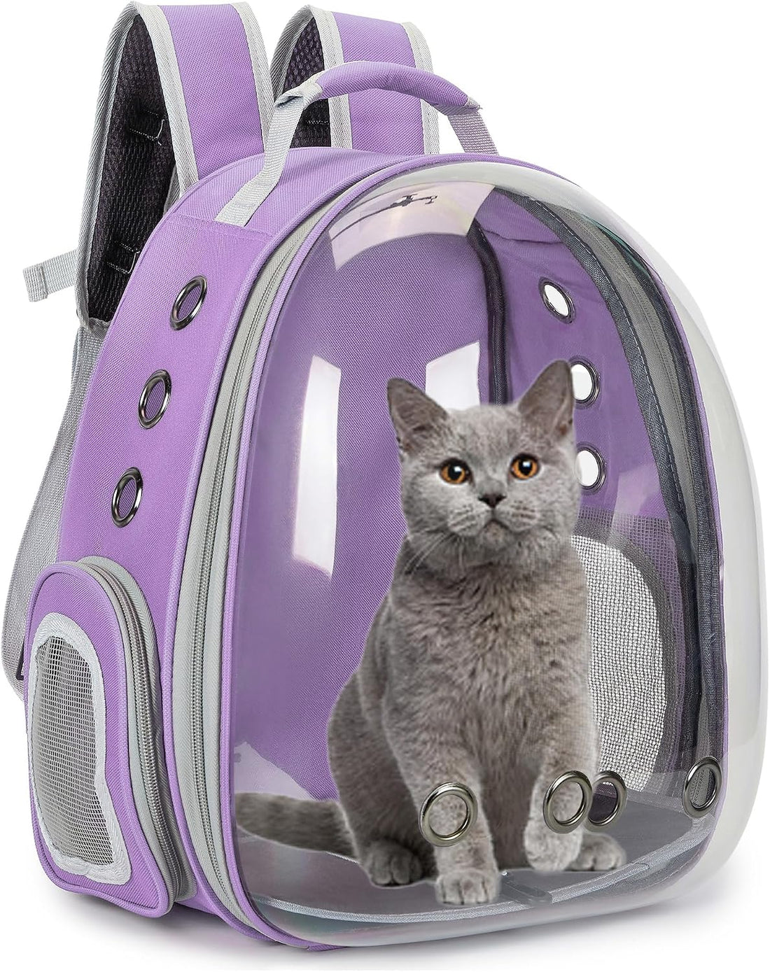 Cat Backpack Carrier Bubble Carrying Bag