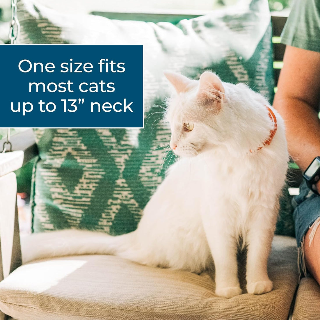 Wondercide Cat Collar - Flea & Tick Repellent